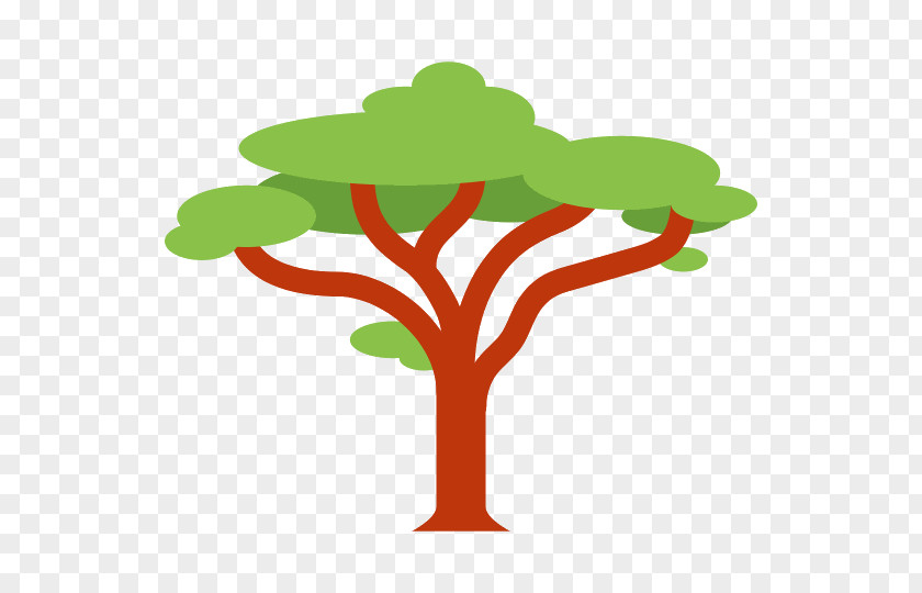 Acacia Gum Arabic Tree Clip Art PNG