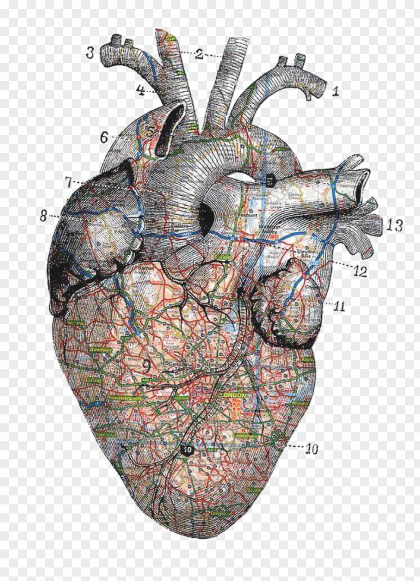Heart Illustration Drawing Collage PNG