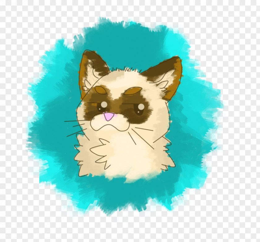 Kitten Whiskers Dog Snout PNG