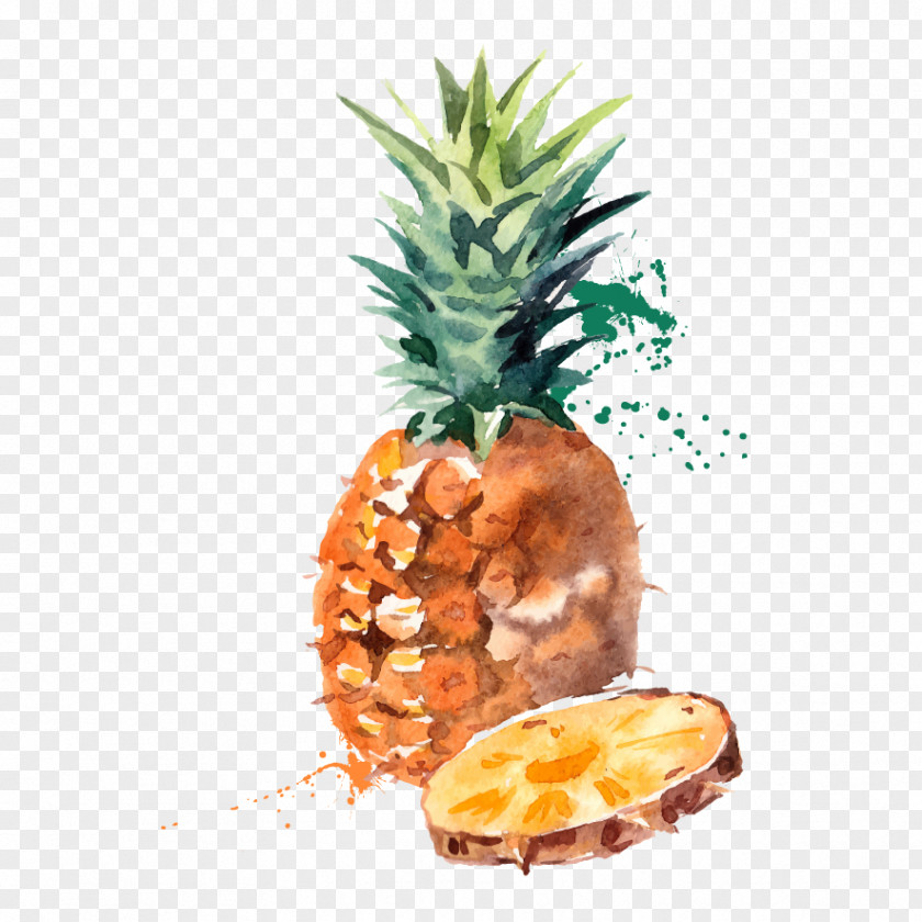 Vector Hand-painted Watercolor Pineapple Eating Fruit Seasonal Food PNG