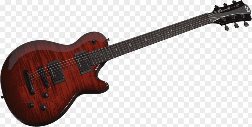 Bass Guitar Acoustic-electric Lag PNG