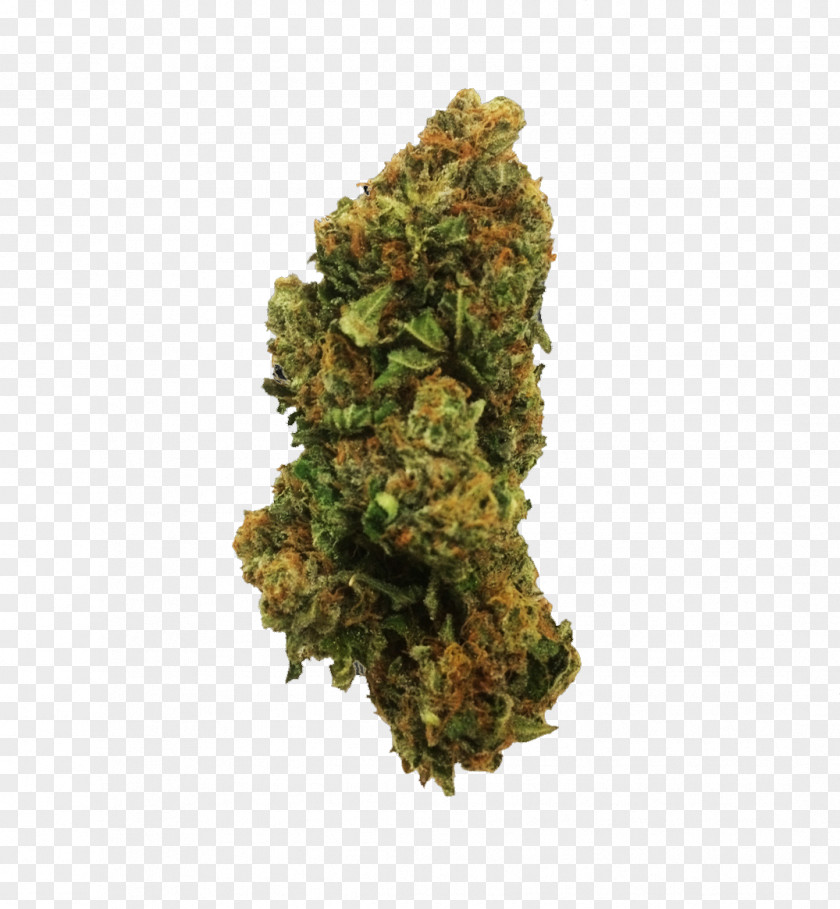 Cannabis Medical Kush Hashish Euphoria PNG