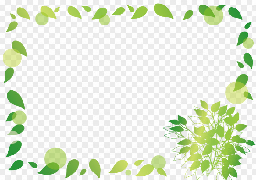 Green Spring Leaf Frame. PNG