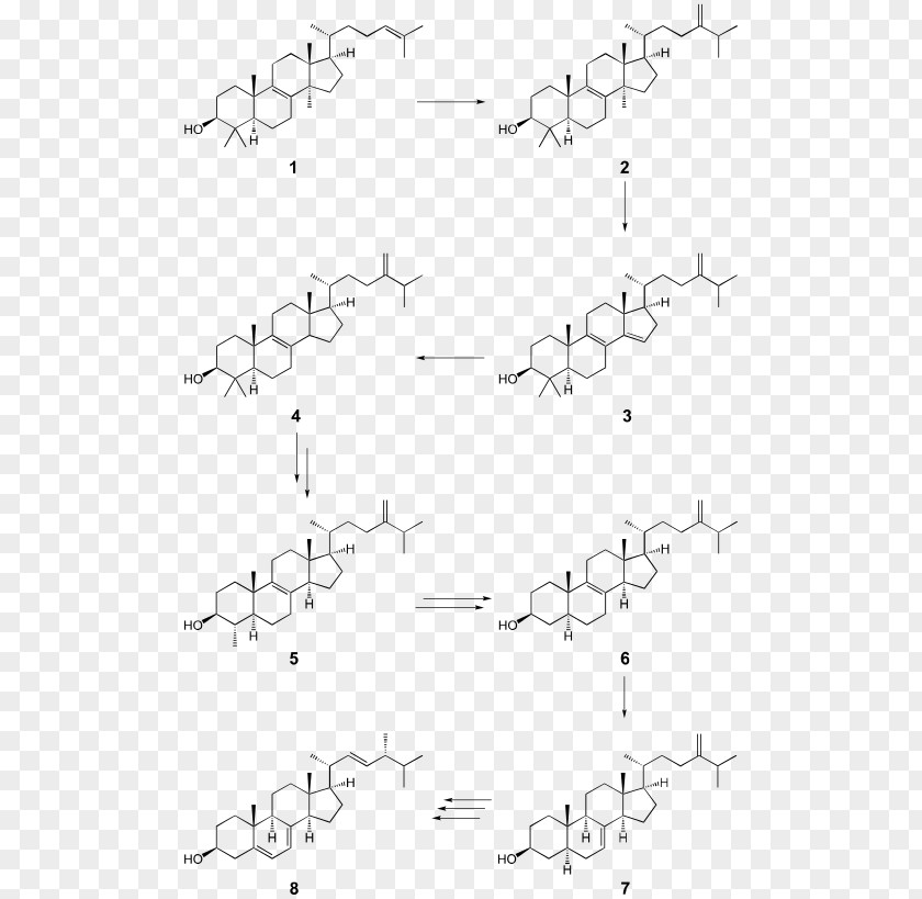 Line Drawing Point Angle PNG