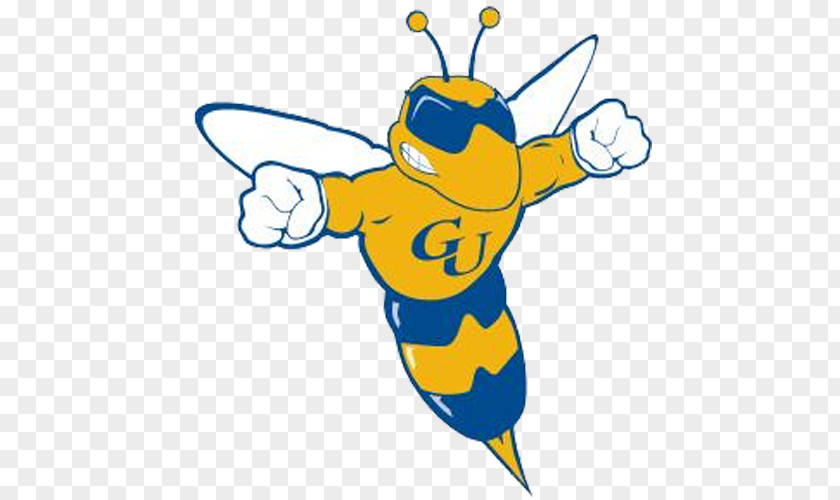 Mascot Graceland University Yellowjackets Men's Basketball Football Huntington PNG