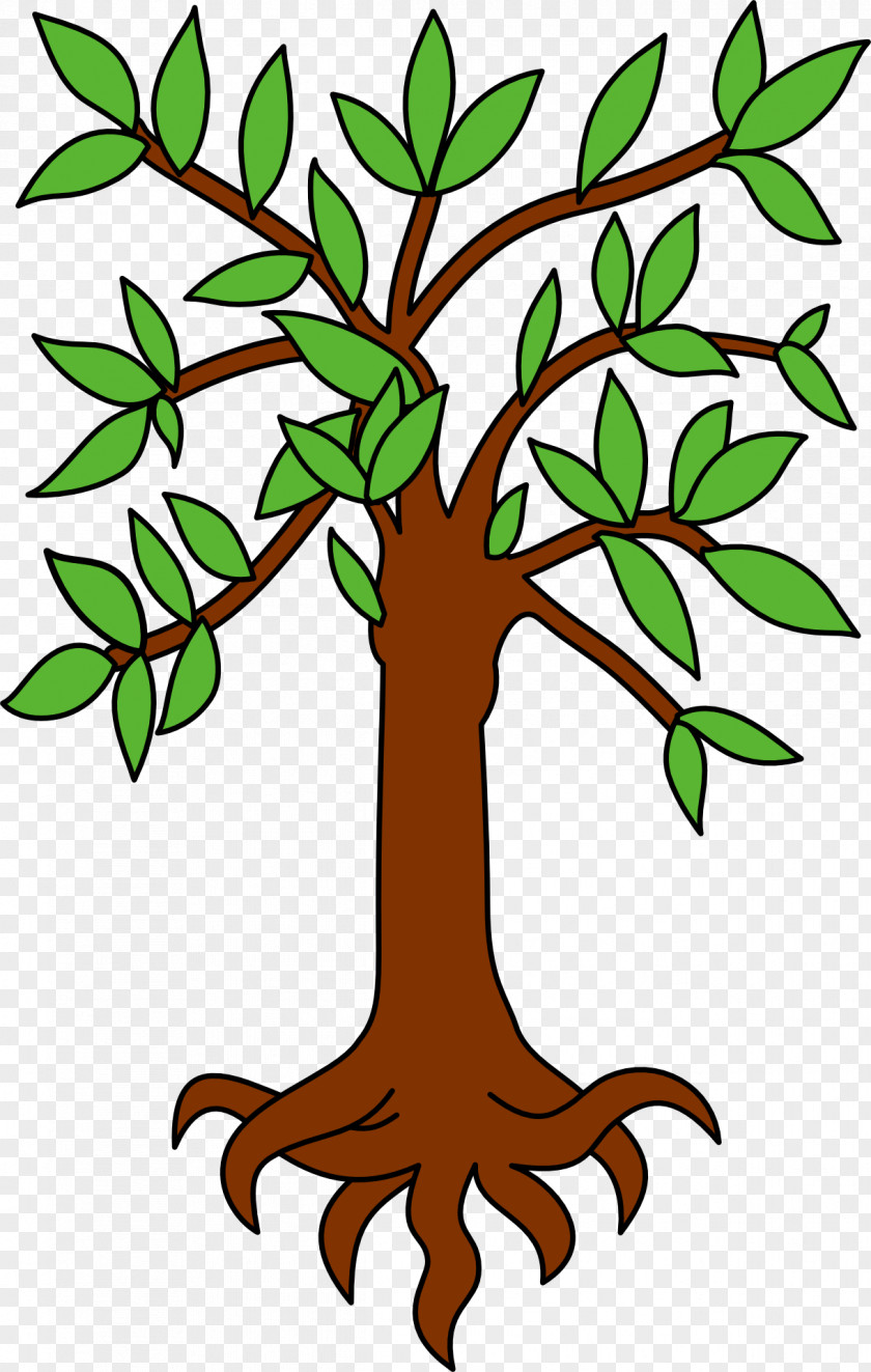 Tree Heraldry PNG