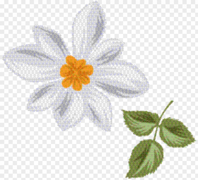 Wildflower Camomile Flower Leaf PNG