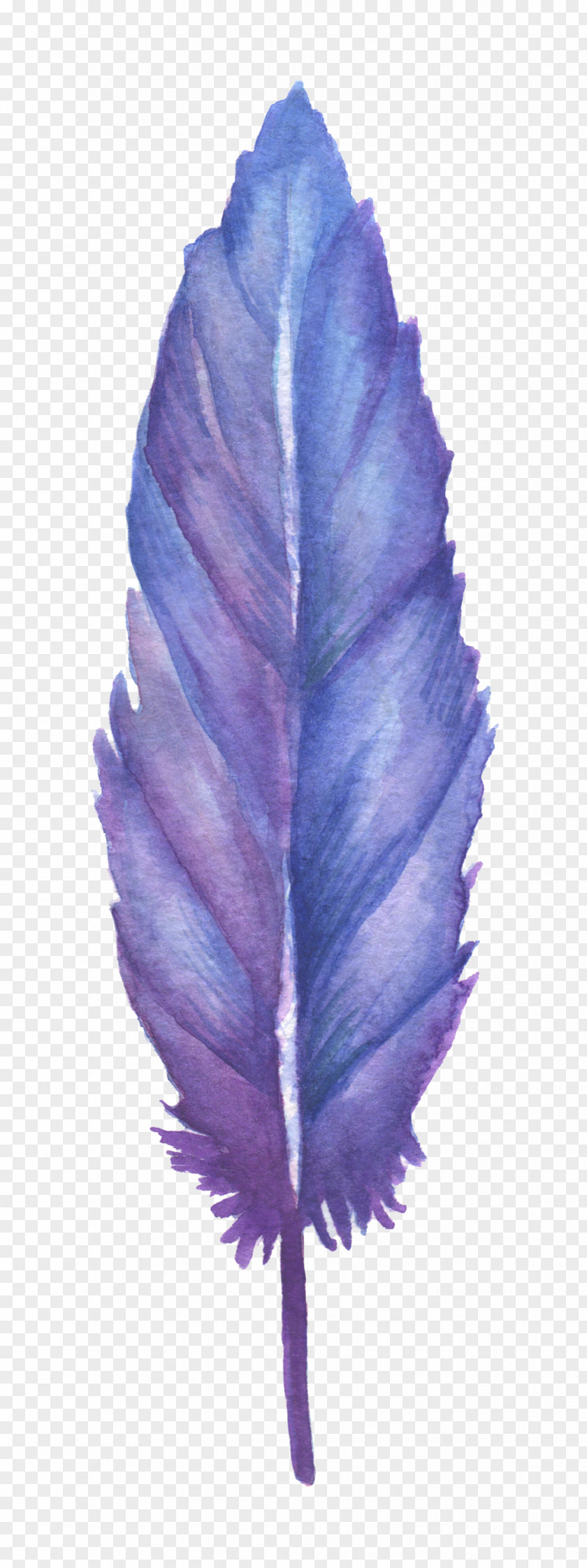 Blue Feather Drawing PNG