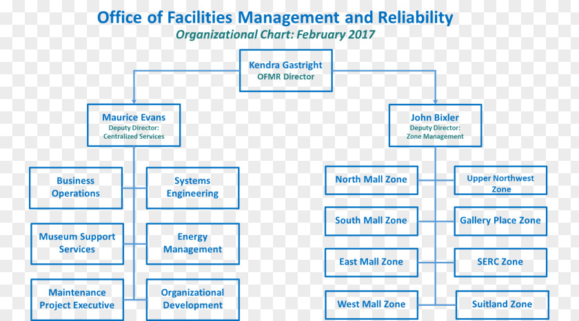 Business Organizational Chart Facility Management Structure PNG