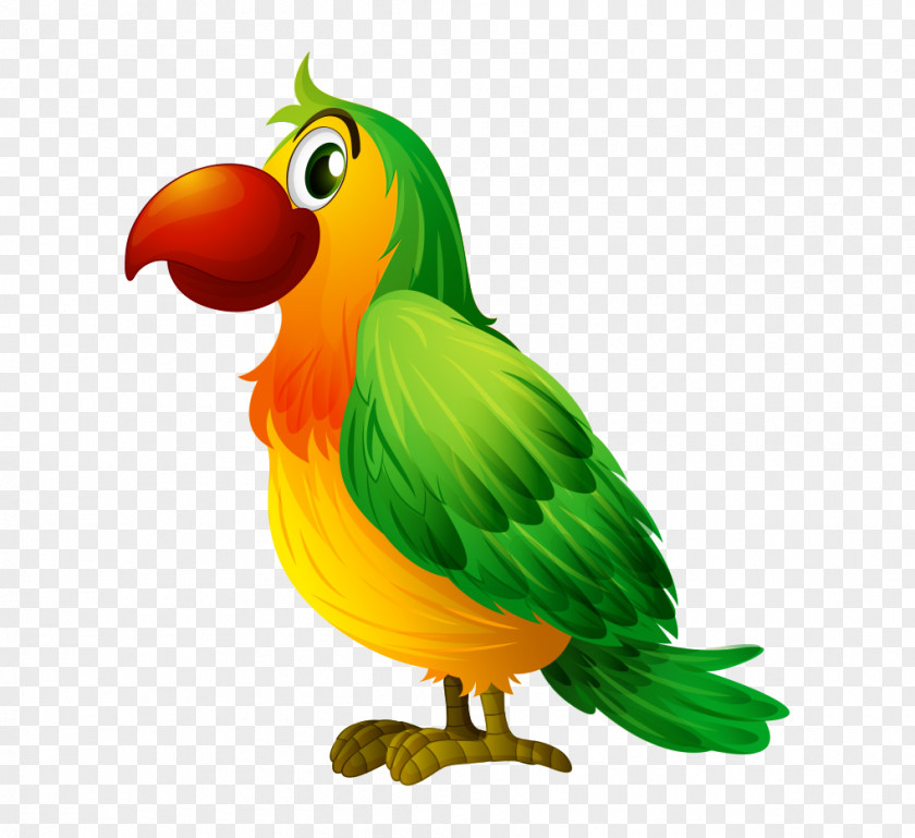 Cartoon Hand Colored Parrot Side Bird Illustration PNG