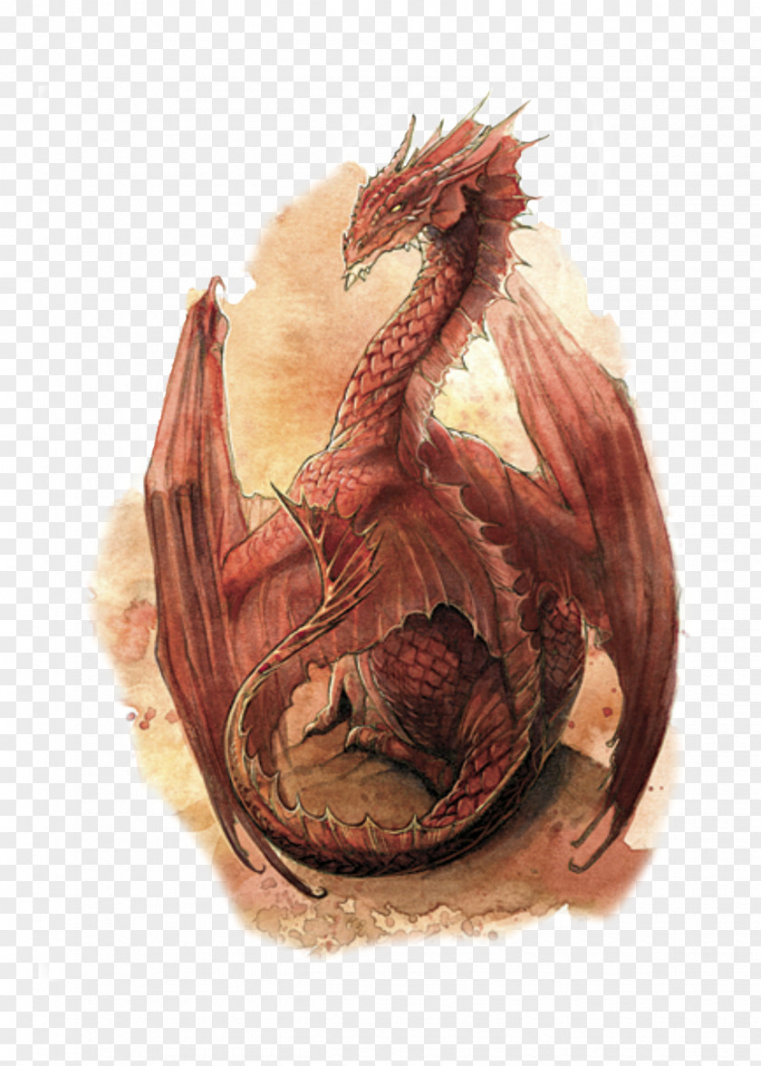 Dragon Dungeons & Dragons Red Drawing Fantasy PNG