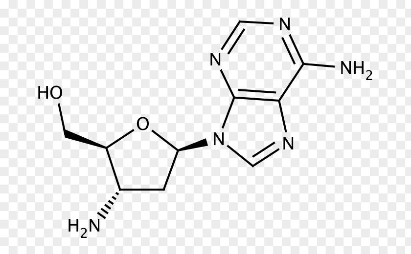 Nephrotoxicity Cyclohexanol Amine Chemistry Acid Methyl Group PNG