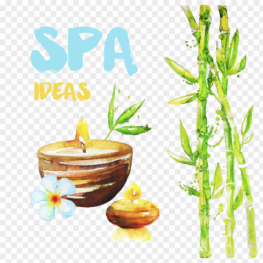 SPA PNG