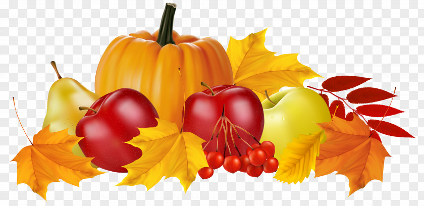 Autumn Leaves Zucchini Pumpkin Clip Art PNG