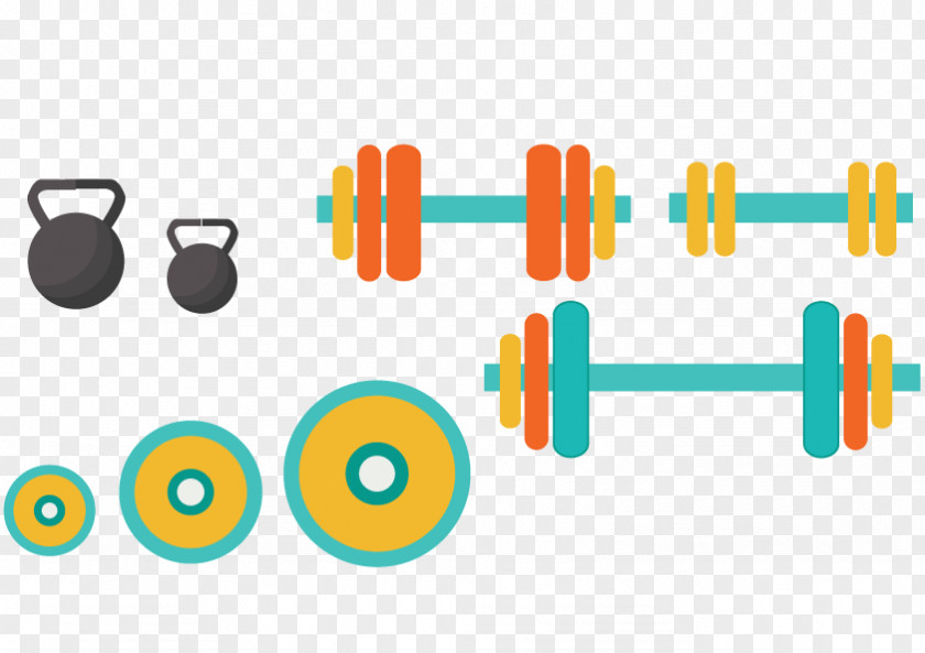 Dumbbell Barbell Sports And Fitness Exercise Equipment Euclidean Vector Physical Weight Training PNG