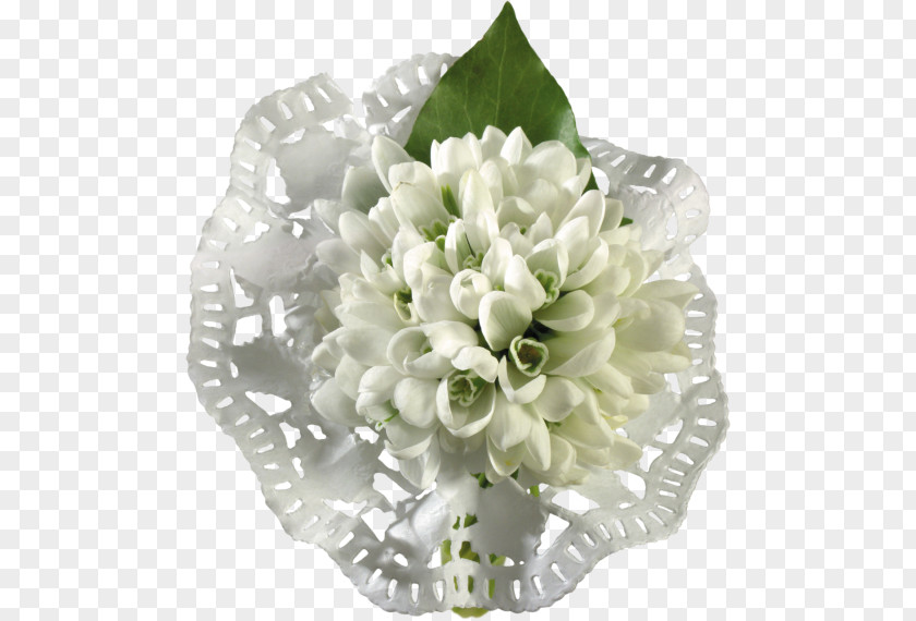 Flower Snowdrop Internet Forum PNG