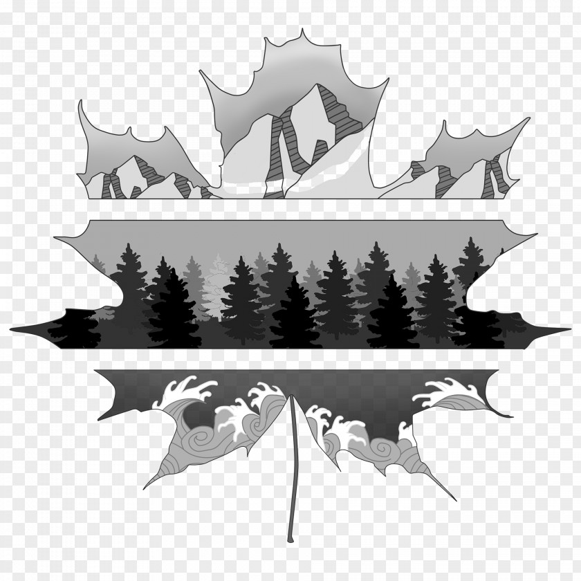 Logo Leaf Font Tree PNG