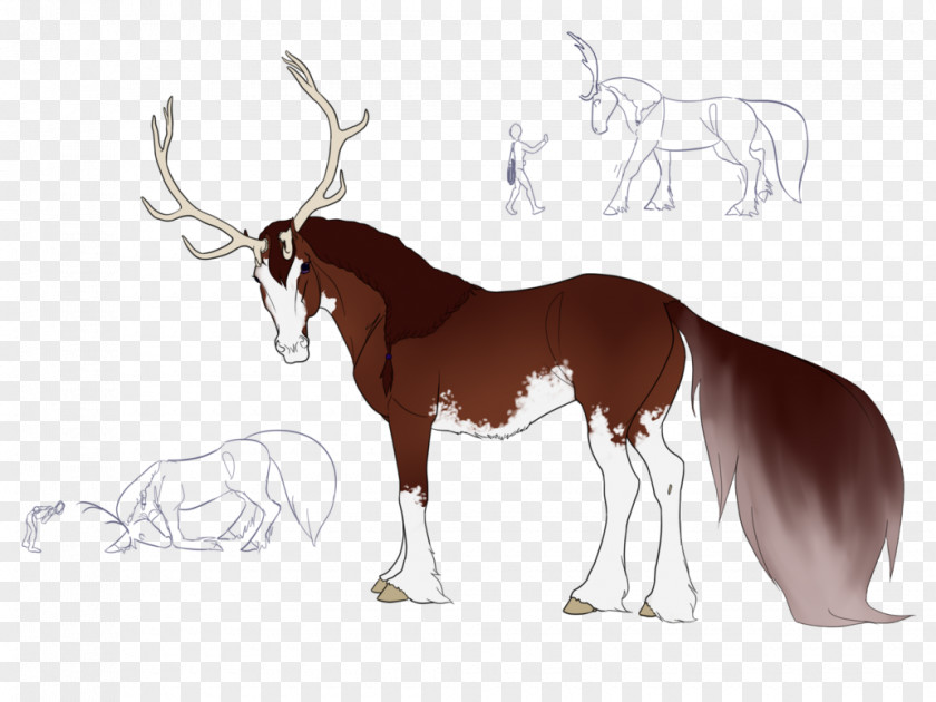 Mustang Cattle Reindeer Antelope Moose PNG