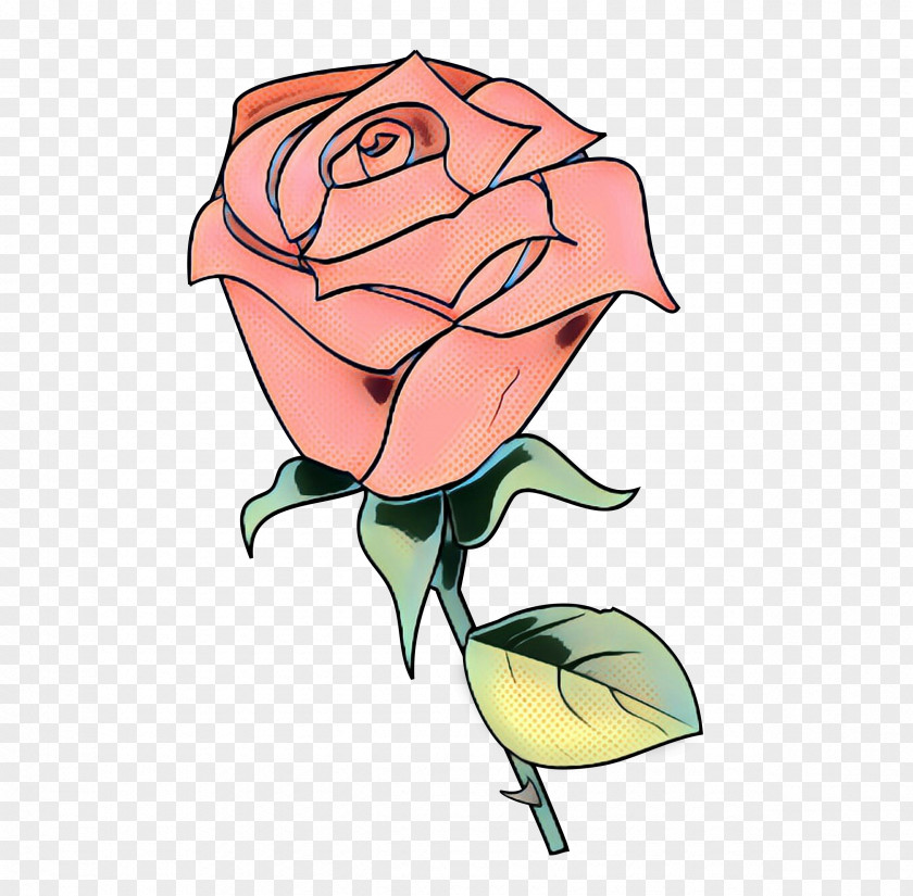 Plant Stem Rose Order Drawing Of Family PNG