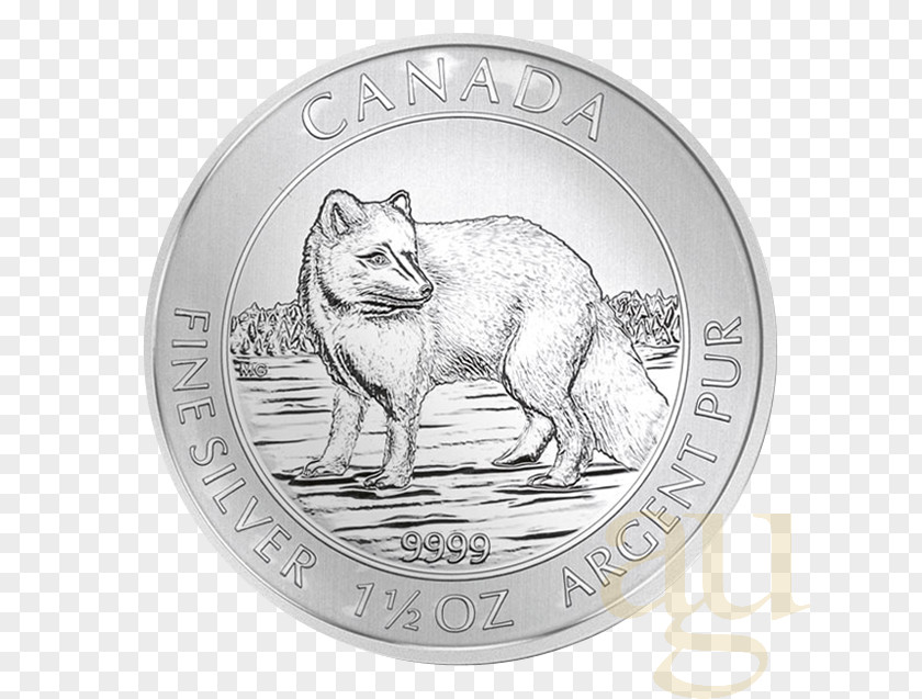 Polar Fox Coin Silver Dog Canidae Mammal PNG