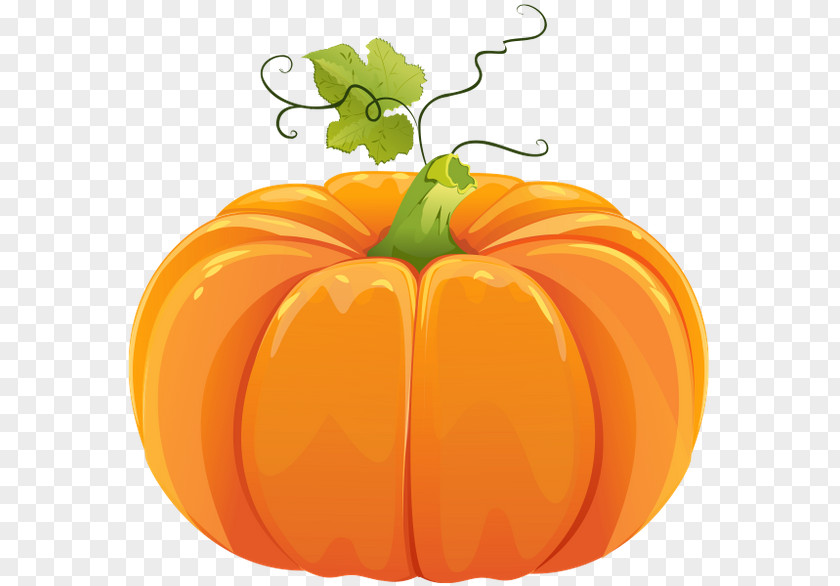 Pumpkin Download Clip Art PNG