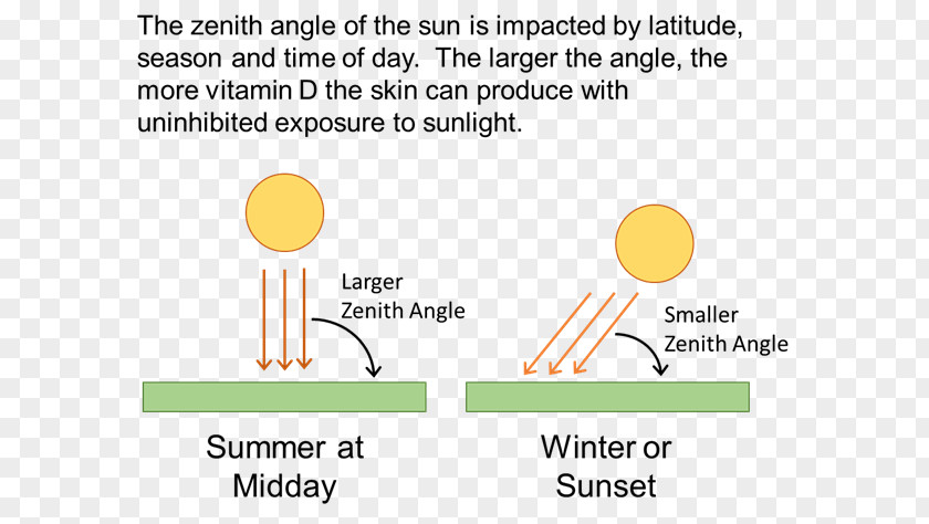 Sun Exposure Vitamin D Sunlight Solar Zenith Angle PNG