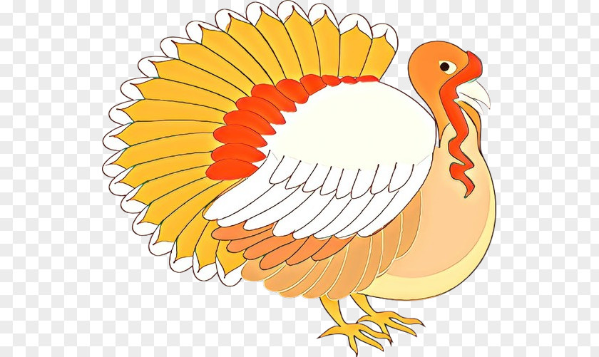 Thanksgiving PNG