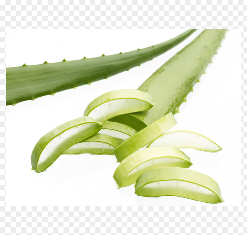 Aloe Vera DROP Skin Forever Living Products Volume Plant PNG