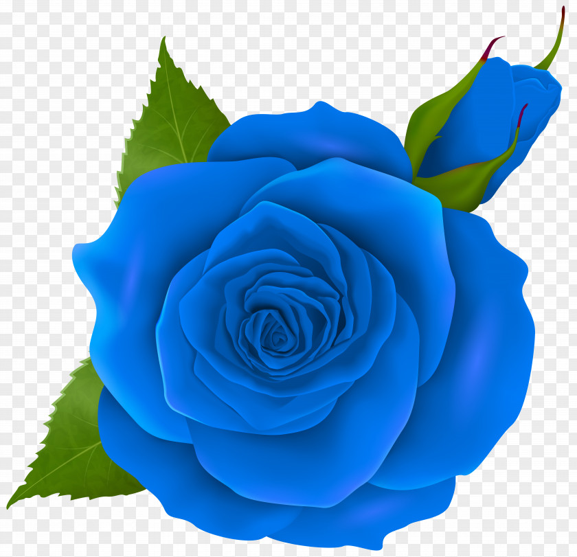 Blue Rose And Bud Transparent Clip Art Pink PNG