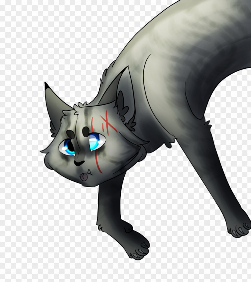 Cat Whiskers Technology Snout Tail PNG
