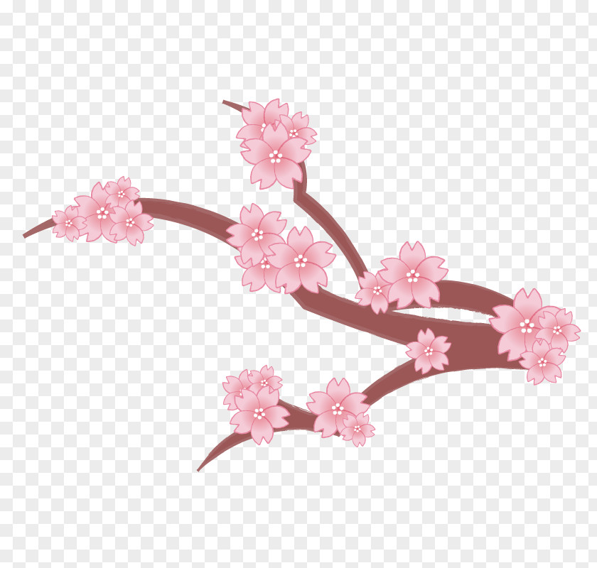 Cherry Blossom Branch Petal Tree PNG