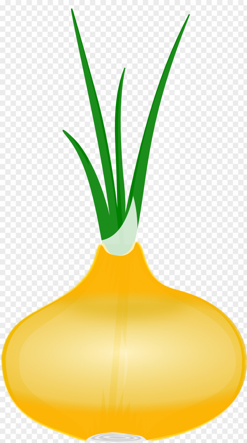Cute Green Aloe Flowerpot Plant Stem Clip Art PNG