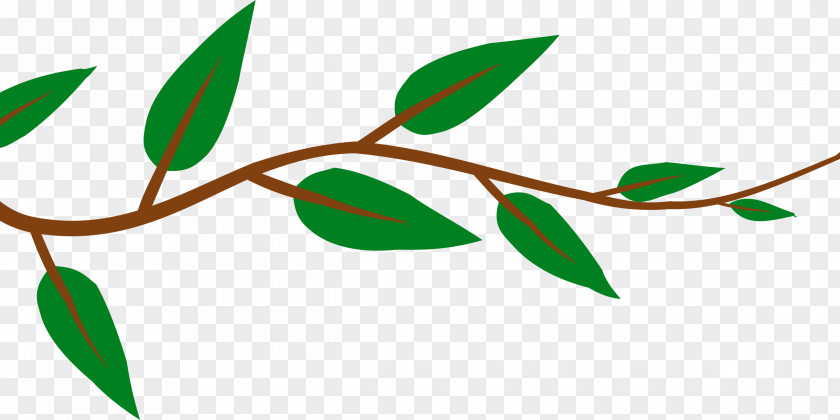 Leaf Vine Clip Art PNG