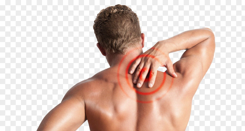 Low Back Pain Chiropractic Human Management PNG