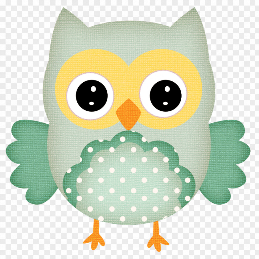 Owl Baby Bird Clip Art Image PNG