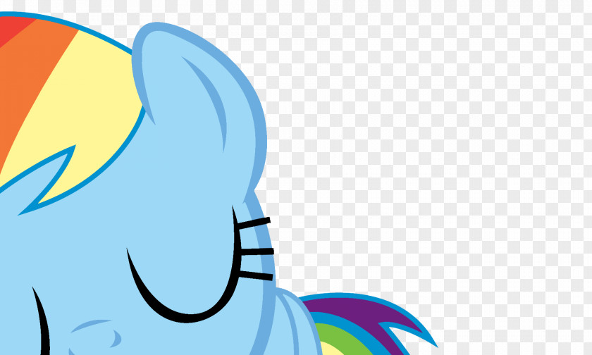 Rainbow Dash Rarity Twilight Sparkle Pinkie Pie Applejack PNG