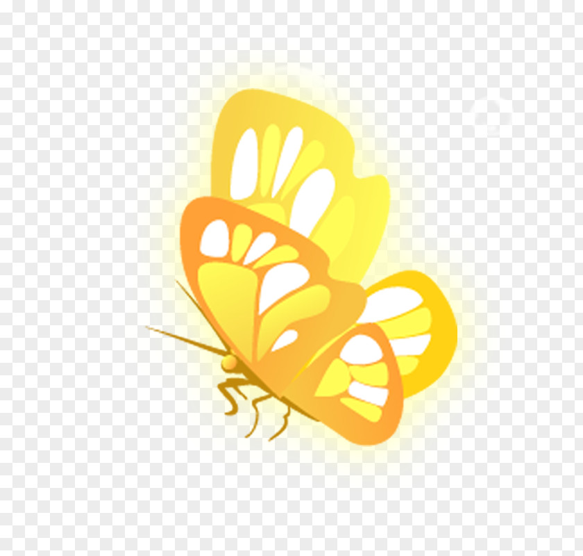 Butterfly Yellow PNG