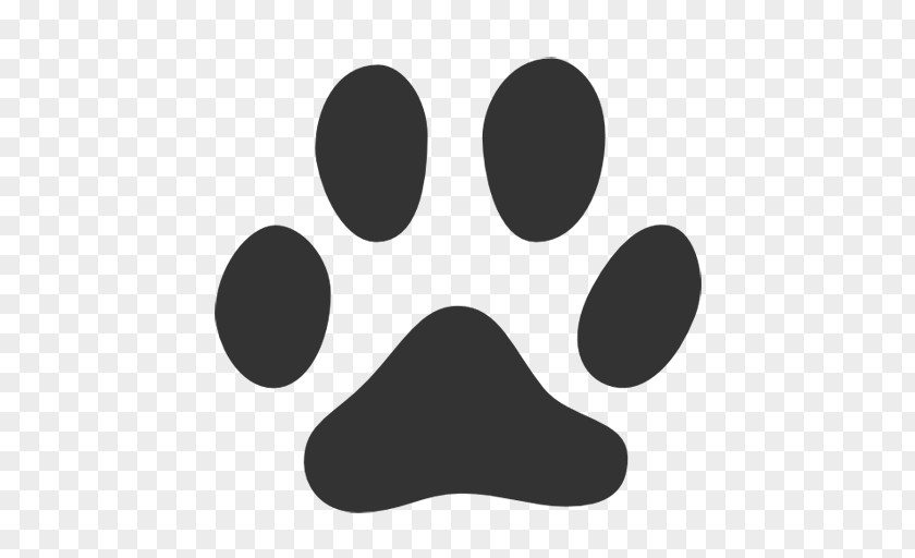 Chat Cat Footprint Paw Animal Track PNG