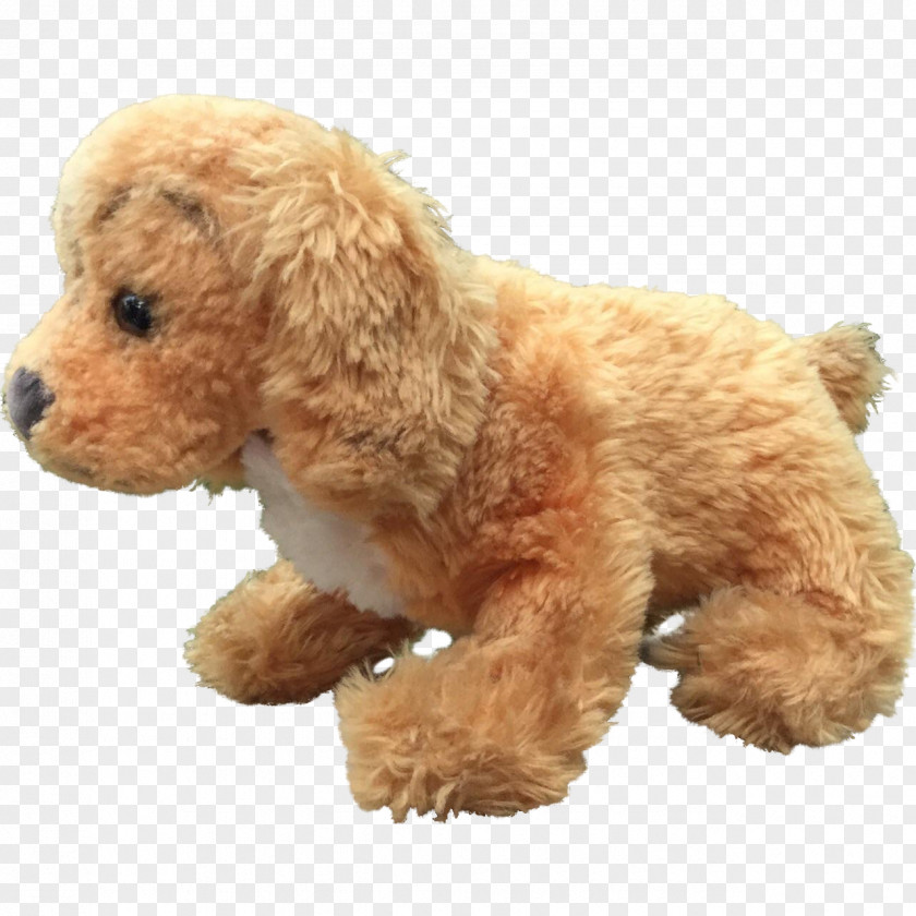 Cocker Miniature Poodle Toy Spanish Water Dog Standard PNG