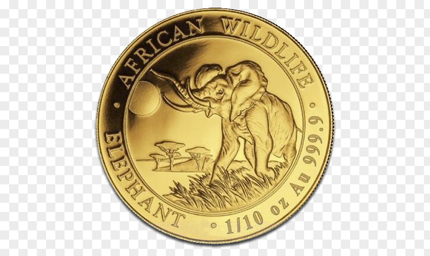 Coin African Elephant Gold Somalia PNG