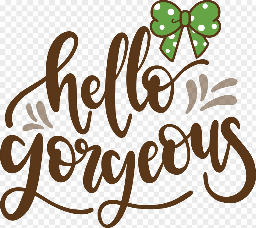 Fashion Hello Gorgeous PNG