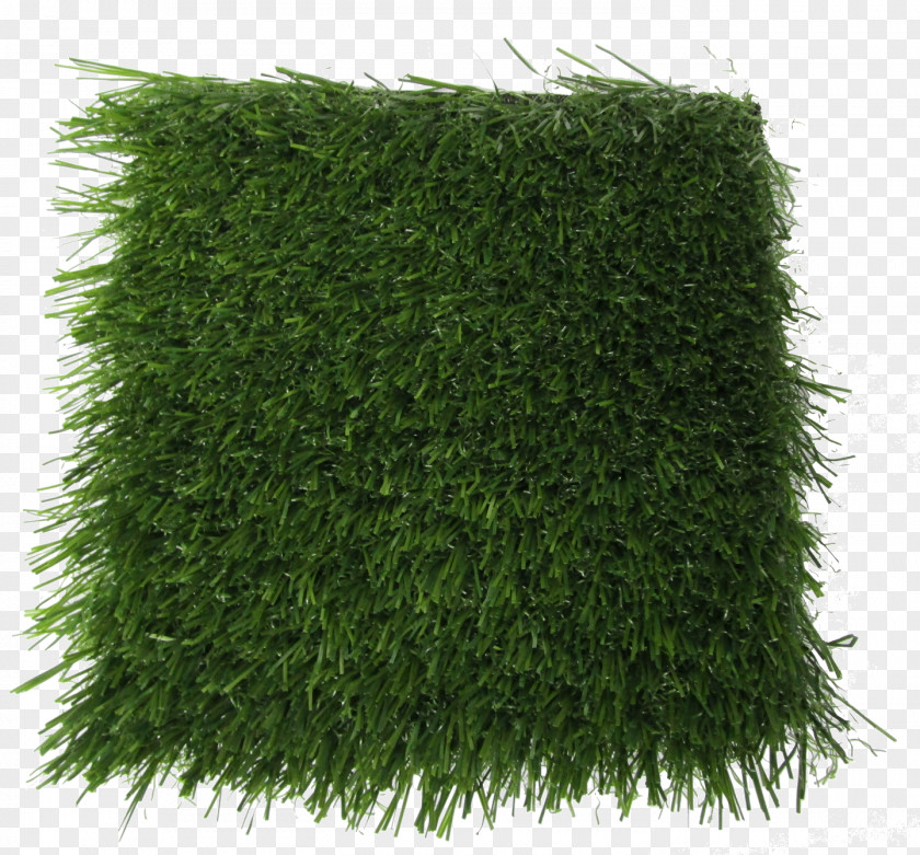 Finishing Touch Blade Product Lawn Polyethylene Field Olive Artificial Turf PNG