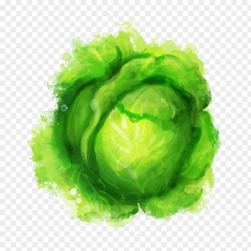 Green Vegetables Watercolor Painting Inkstick Illustration PNG