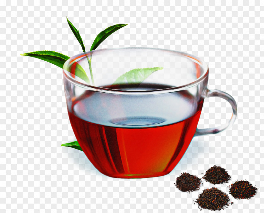 Nonalcoholic Beverage Herbal Drink Plant Chinese Herb Tea Liqueur Grog PNG