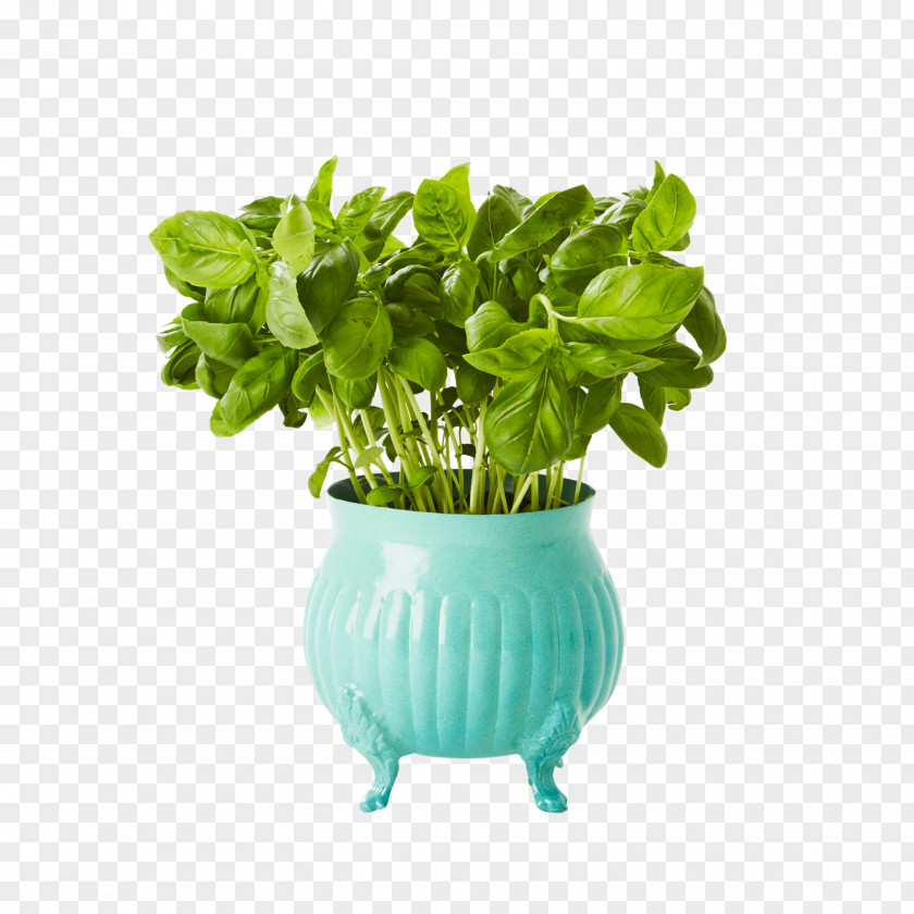 Plant Flowerpot Gardening Plastic PNG