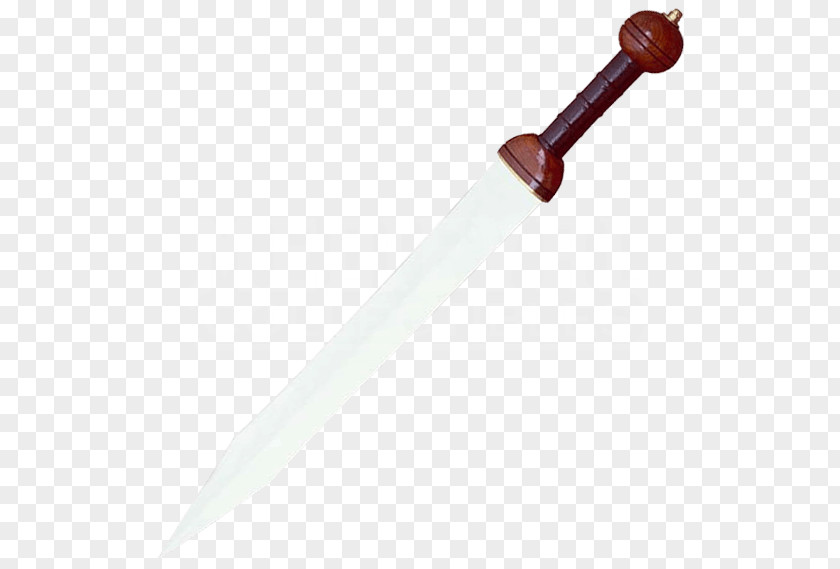 Sword Dagger Gladius Classification Of Swords Weapon PNG