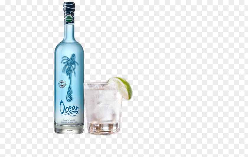 Vodka Tonic Gin And Liqueur Water PNG