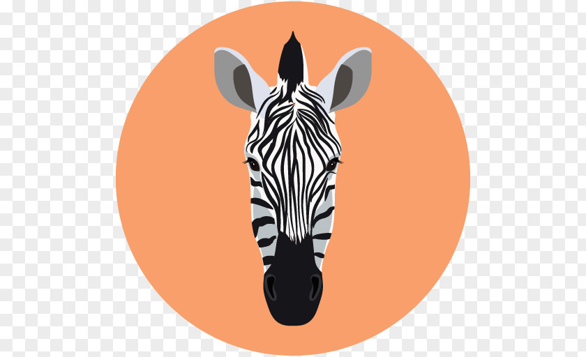 Zebra Quagga PNG