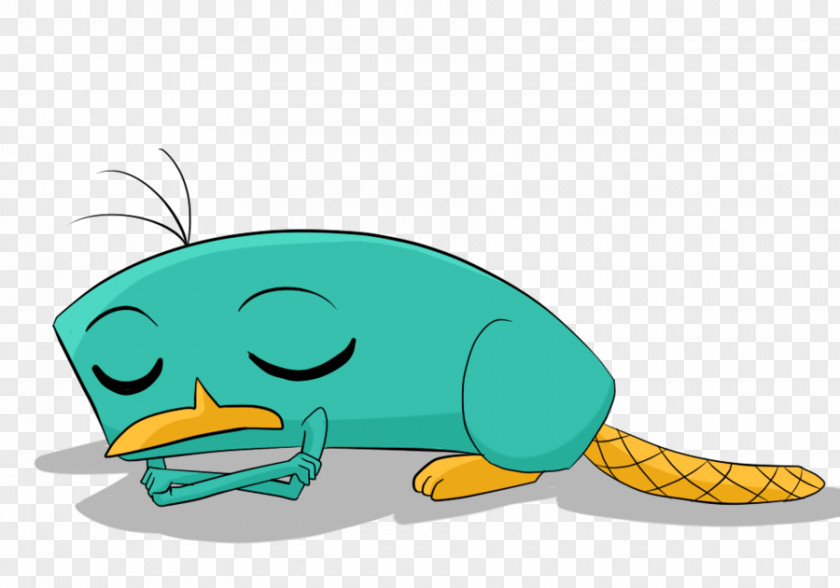 Cartoon Platypus Pictures Perry The Sleep Clip Art PNG