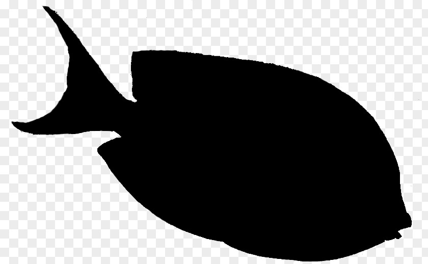 Clip Art Silhouette Leaf Fish Black M PNG